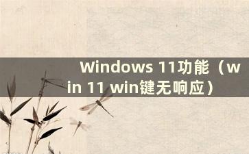 Windows 11功能（win 11 win键无响应）